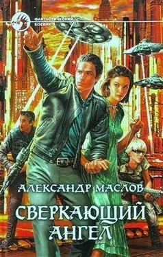 Александр Маслов Сверкающий ангел обложка книги