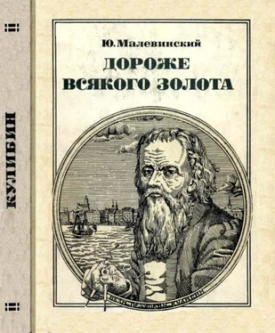 Юрий Малевинский Дороже всякого золота [Кулибин] обложка книги