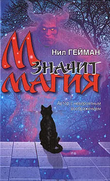 Нил Гейман М значит Магия обложка книги