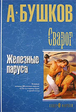 Александр Бушков Железные паруса обложка книги