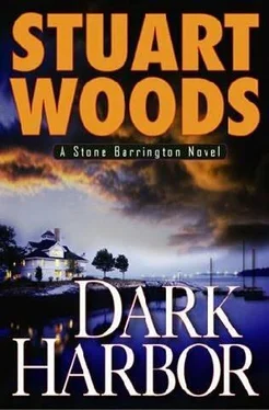 Stuart Woods Dark Harbor обложка книги