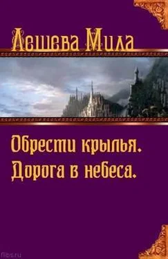 Мила Лешева Обрести крылья. Дорога в небеса обложка книги