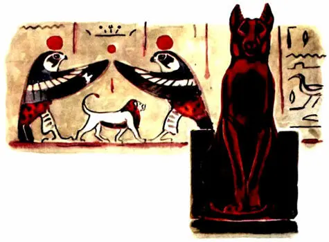 Кошки родом из Африки Древние египтяне которые строили большиебольшие - фото 2