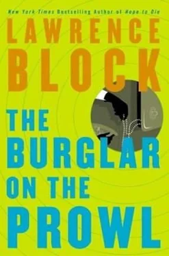 Lawrence Block The Burglar on the Prowl обложка книги