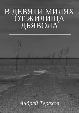 Андрей Терехов В девяти милях от жилища дьявола обложка книги