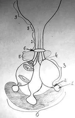 Андрей Шумин - Вселенная шамана