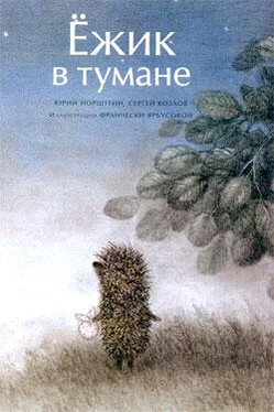 Юрий Норштейн Ёжик в тумане (иллюстр. Ф.Ярбусовой) обложка книги