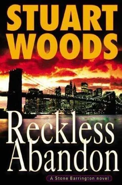 Stuart Woods Reckless Abandon обложка книги