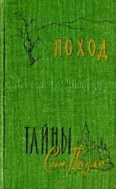 Афонсо Шмидт Поход обложка книги