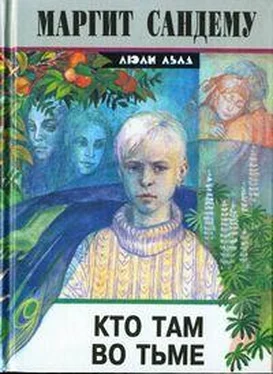 Маргит Сандему Кто там во тьме? обложка книги