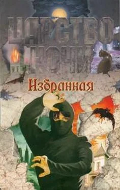 Лиза Смит Избранная обложка книги