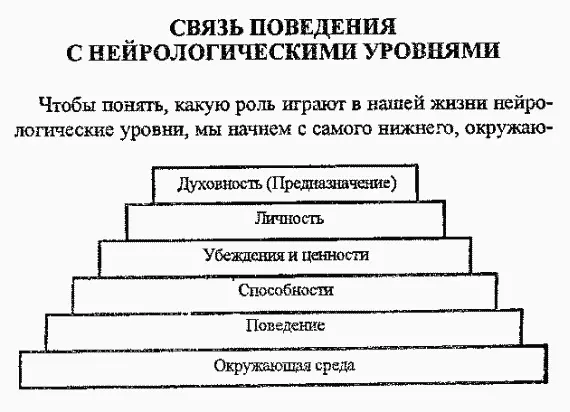 Рис 141 Нейрологические уровни Окружающая среда Задумайтесь о мире в - фото 11