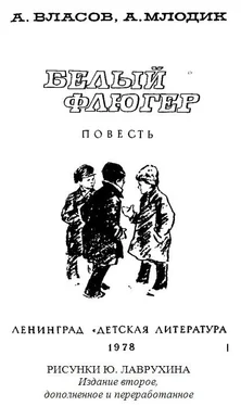 Александр Власов Белый флюгер обложка книги