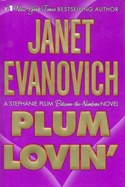 Janet Evanovich Plum Lovin' обложка книги