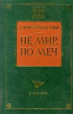 Дмитрий Мережковский Не мир, но меч обложка книги