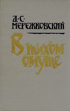 Дмитрий Мережковский В тихом омуте обложка книги