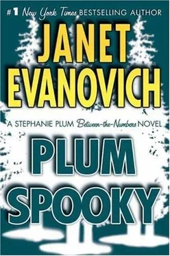 Janet Evanovich Plum Spooky обложка книги