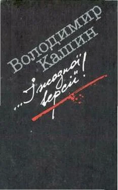 Володимир Кашин ...I жодної версiї! обложка книги