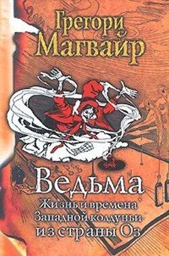 Грегори Магвайр Ведьма: Жизнь и времена Западной колдуньи из страны Оз обложка книги