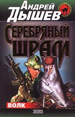 Андрей Дышев Серебряный шрам обложка книги