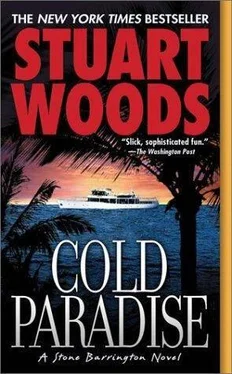 Stuart Woods Cold Paradise обложка книги