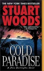 Stuart Woods - Cold Paradise