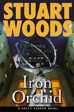 Stuart Woods Iron Orchid обложка книги