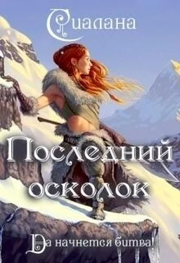 Анастасия Сиалана Последний осколок [СИ] обложка книги