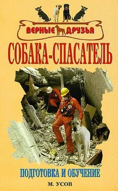 Мстислав Усов Собака-спасатель: Подготовка и обучение обложка книги