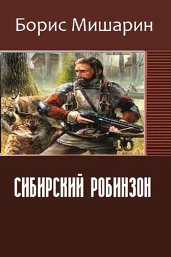 Борис Мишарин Сибирский Робинзон (СИ) обложка книги