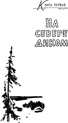 Книга первая НА СЕВЕРЕ ДИКОМ Часть первая В НОВОЙ СЕМЬЕ Он звал ее - фото 3