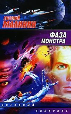 Евгений Малинин Фаза Монстра обложка книги