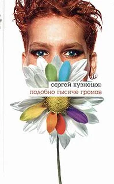 Сергей Кузнецов Девяностые: сказка обложка книги