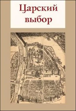 Елена Степанян Царский выбор обложка книги