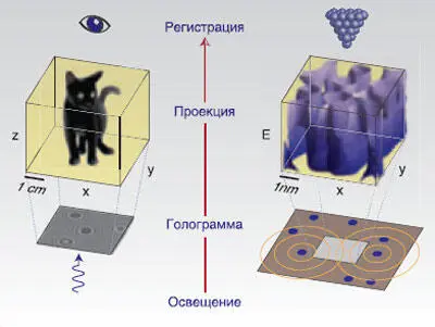 Электронные волны во многом похожи на традиционную оптическую голограмму - фото 8