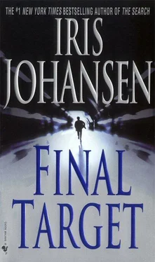 Iris Johansen Final Target обложка книги