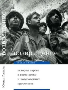 Юлиан Гжесик Возвращение. История евреев в свете ветхо– и новозаветных пророчеств обложка книги