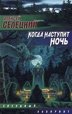 Алексей Селецкий Когда наступит ночь обложка книги