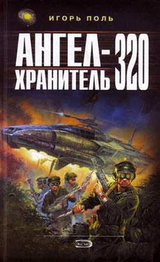 Игорь Поль Ангел-Хранитель 320 обложка книги