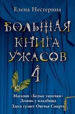 Елена Нестерина Большая книга ужасов – 4 обложка книги