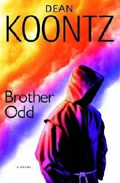 Dean Koontz Brother Odd обложка книги