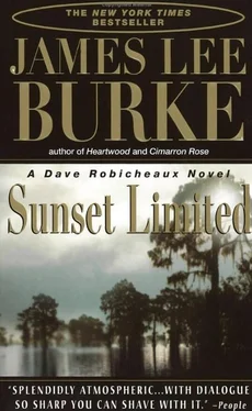 James Burke Sunset Limited обложка книги