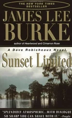 James Burke - Sunset Limited