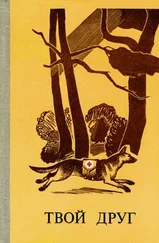 Борис Рябинин - Твой друг. Сборник. Выпуск 2