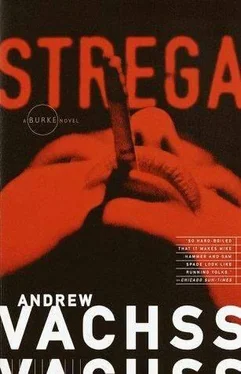 Andrew Vachss Strega обложка книги