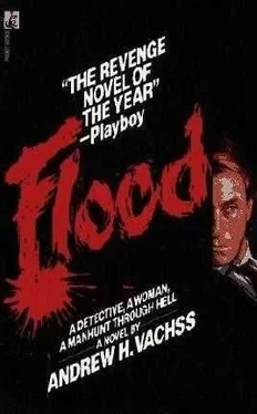 Andrew Vachss Flood обложка книги