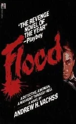 Andrew Vachss - Flood