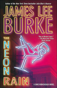 James Burke The Neon Rain обложка книги
