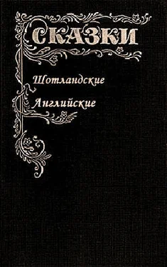 Автор неизвестен - Эпосы, мифы, легенды и сказания Сказки Шотландские и Английские (Британские легенды и сказки) обложка книги