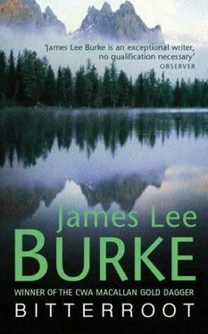 James Burke Bitterroot обложка книги